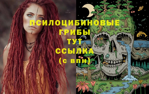 бошки Баксан