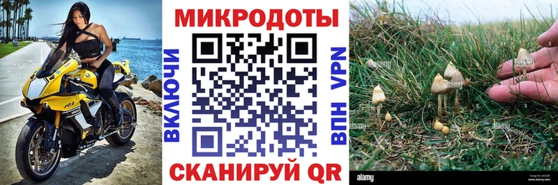 Галлюциногенные грибы прущие грибы  Купить  Белоусово 
